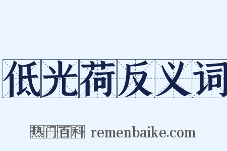 低光荷反义词是什么意思的图片
